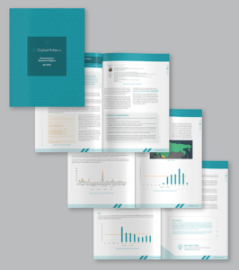 Квартальный отчет о программ-вымогателях CyberMaxx