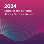 Отчет о состоянии внешней поверхности атаки за 2024 год