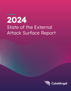Отчет о состоянии внешней поверхности атаки за 2024 год