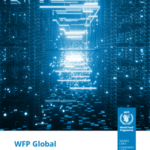 Глобальная стратегия ВПП в области данных на 2024-2026 годы