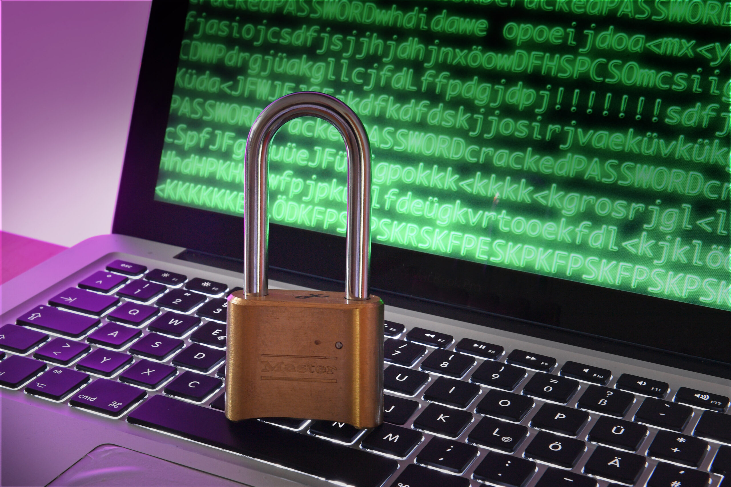 В новом исследовании ВЦИОМ, посвященном "Цифровой самообороне", выяснилось, что большинство россиян обеспокоены сохранностью своих личных данных в интернете.