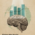 Измерение мозга: Сегментация и факторы роста глобального рынка нейронаук. Отчет