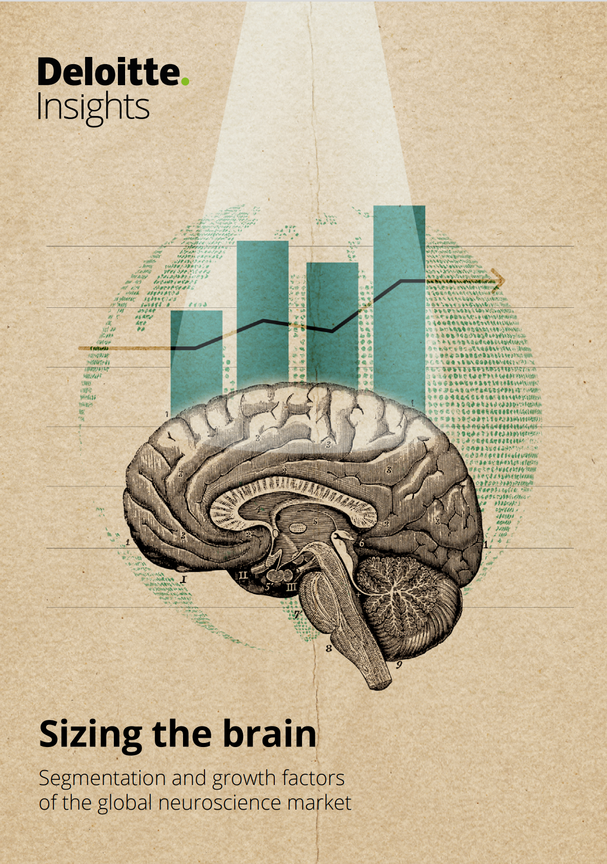 Измерение мозга: Сегментация и факторы роста глобального рынка нейронаук. Отчет