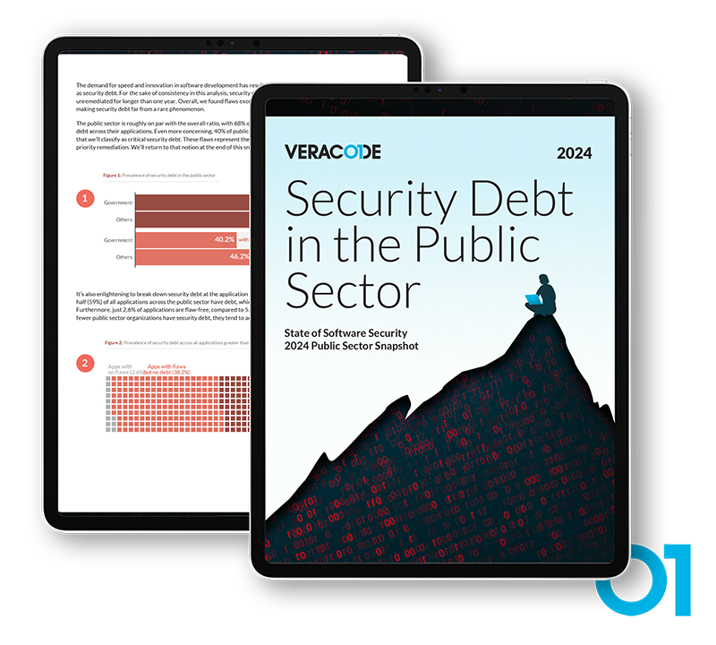 Обзор состояния программной безопасности в государственном секторе 2024 от Veracode