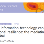 Влияние ИТ-возможностей на организационную устойчивость: роль социального капитала