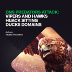 Угроза "Sitting Ducks": как атаки на уязвимые домены ставят компании под удар