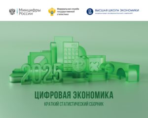 Цифровая экономика в России: комплексный анализ на основе данных ВШЭ