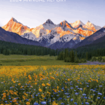 Анализ годового отчета Huawei за 2024 год