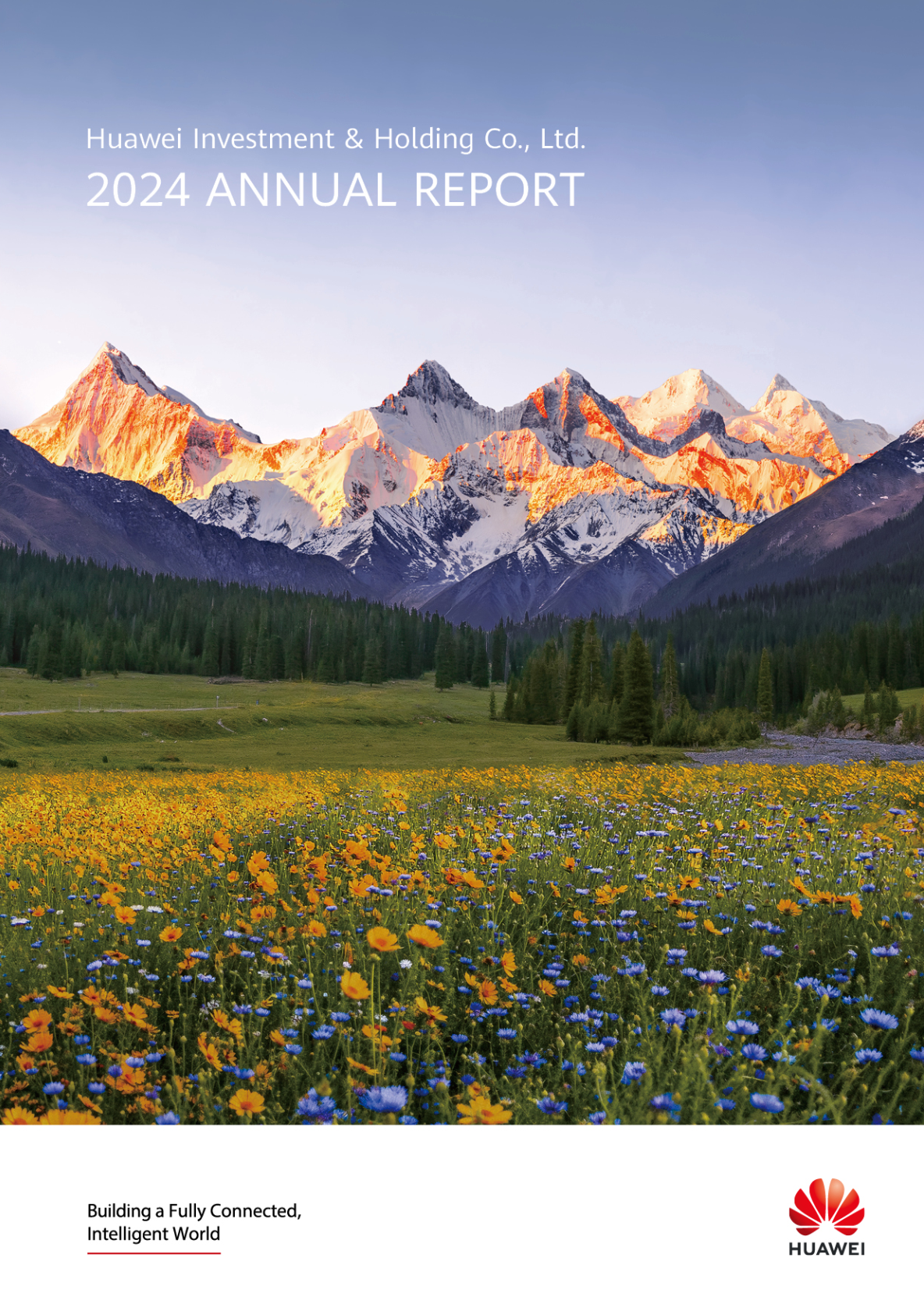 Анализ годового отчета Huawei за 2024 год